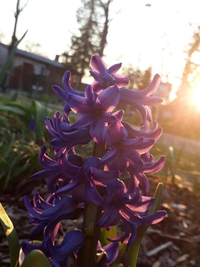 Gartenblick Trebbin ภายนอก รูปภาพ